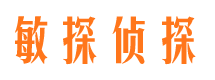 鹤壁市调查公司